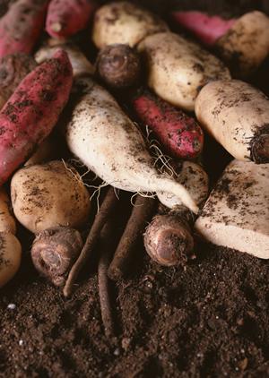 プレゼントとしてお酒を考えている方へ